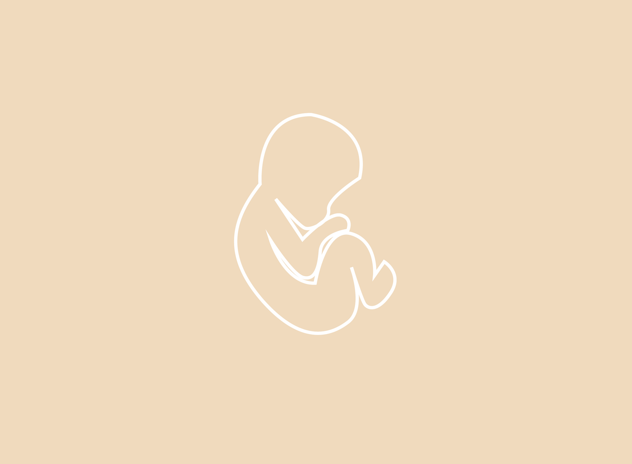 fetus illustration