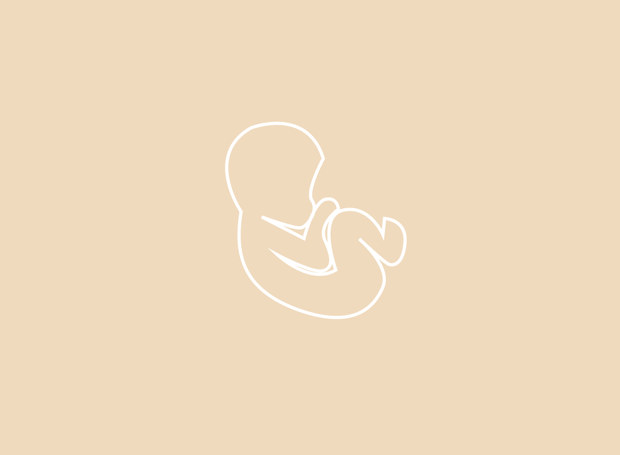fetus illustration